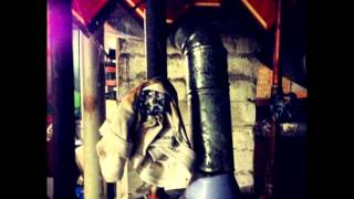 Kicked in the head by a horse