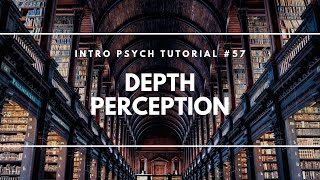 Depth Perception (Intro Psych Tutorial #57)
