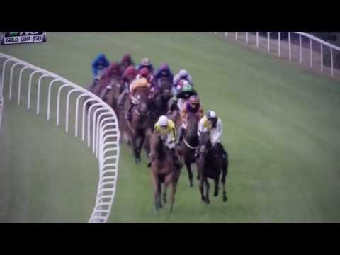 GOLD CUP (G1) STAKES 2017 - BIG ORANGE !!!