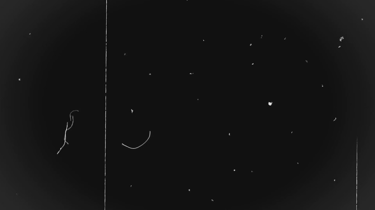 old film grain overlay |Video-Audio footage HD Free