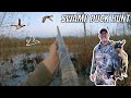 Duck Hunting a Beaver Swamp | Loaded with Mallards!