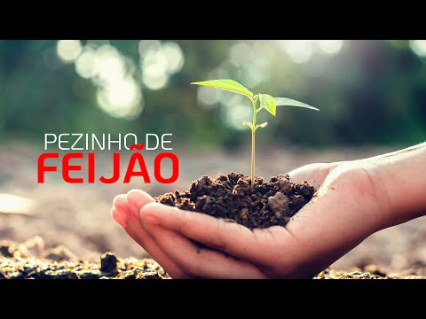 Pezinho De Feijão - Fernando Iglesias