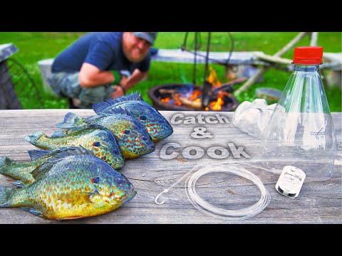 Catch & Cook Sunfish Tacos with Plastic Bottle Survival Fishing Line (Build and Catch)
