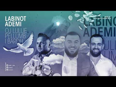 Labinot Ademi - Oj Lulije Pellumb i Bardh (Prod. By H2 Up Records & AB Production)
