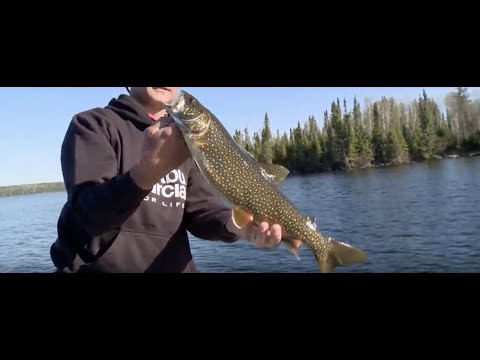 Multispecies Fishing in Remote Lakes at Ontario's Woman River Camp