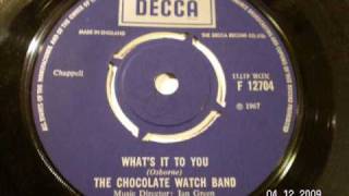 CHOCOLATE WATCH BAND - What&#39;s it to you