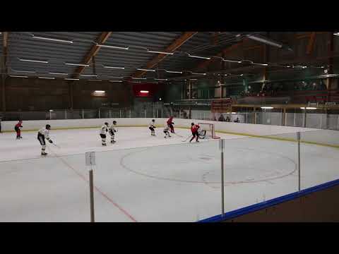 Vladislav Pshenichnikov #7.Täby HC