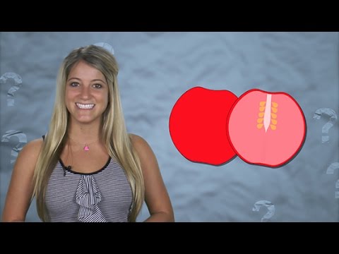 download lagu mp3 mp4 3 Days Tomato Diet, download lagu 3 Days Tomato Diet gratis, unduh video klip 3 Days Tomato Diet