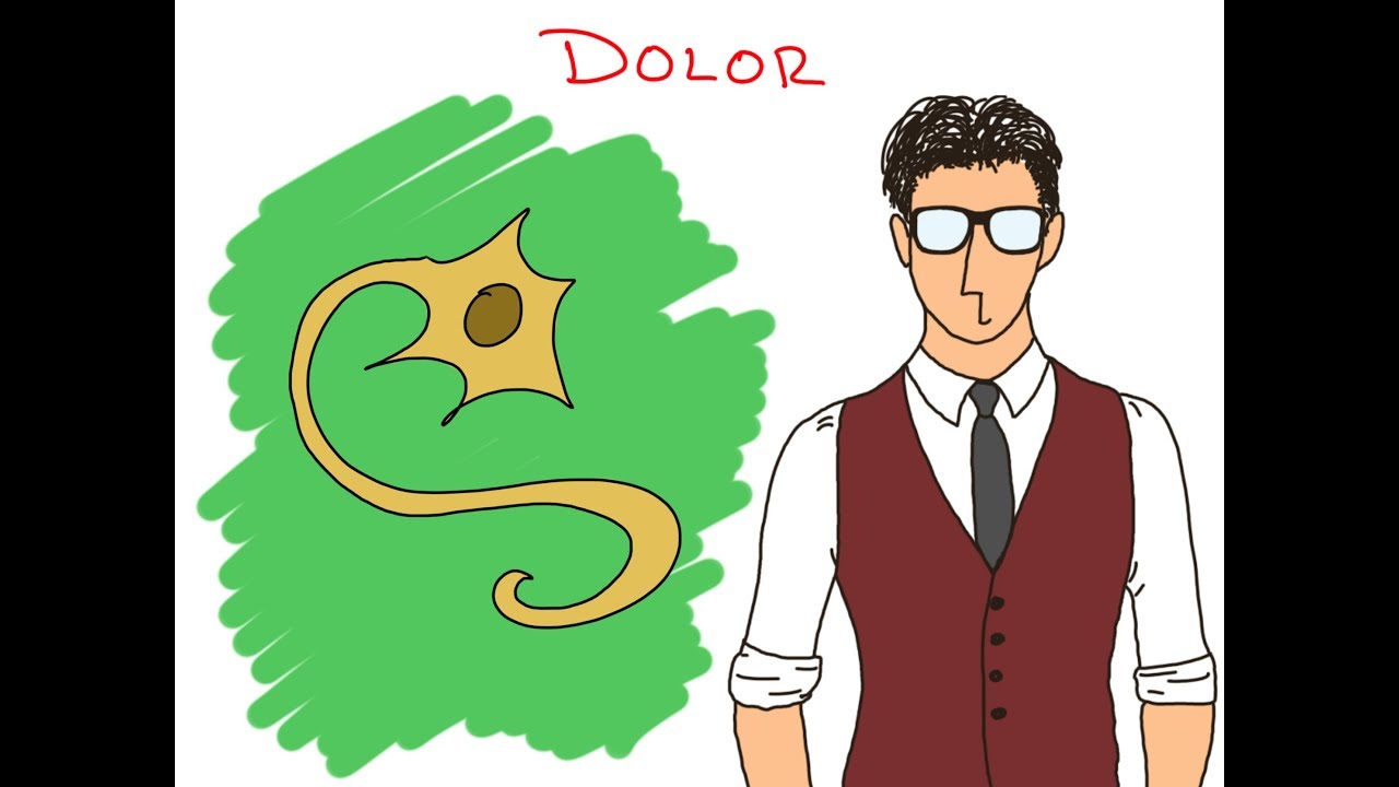 EL DOLOR COMO NUNCA TE HAN EXPLICADO