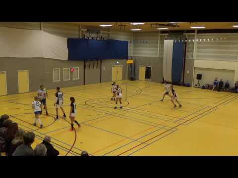 2017-01-28 Wit Blauw 1 - ZKV 1