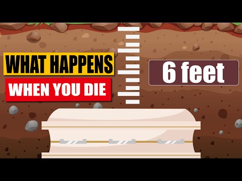 What Happens To Your Body When You Die?