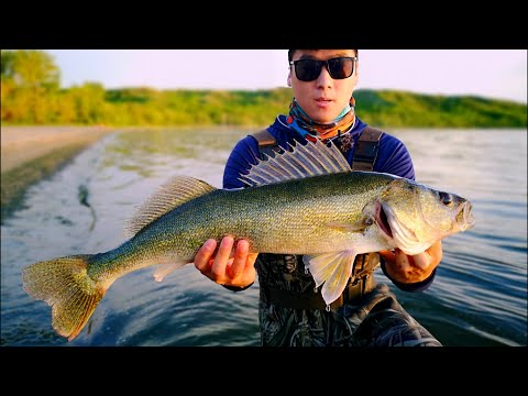 It Took Me 6 Years! NEW PB Walleye Caught on NEW Rod and Lure (Omen Black 3 + Rapala Shadow Rap)