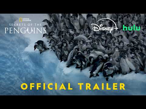 Official Trailer