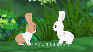Phim hoạt hình hay nhất, Phim hoạt hình