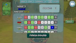 Disc Golf Valley skip ace