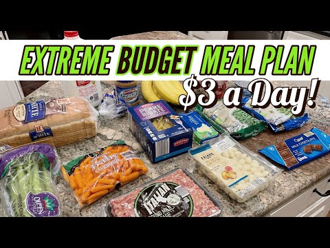 , title : 'BEST EXTREME BUDGET MEAL PLAN $20 for a WEEK!  // EASY MEALS on a BUDGET'