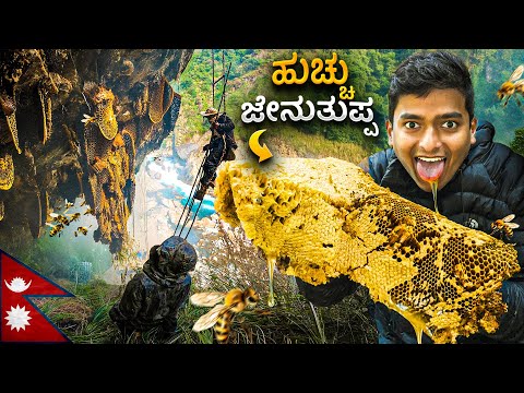 Mad Honey 🫨😵‍💫| ನಶೆ ಏರುವ ಜೇನುತುಪ್ಪ🐝🍯 | Dr Bro
