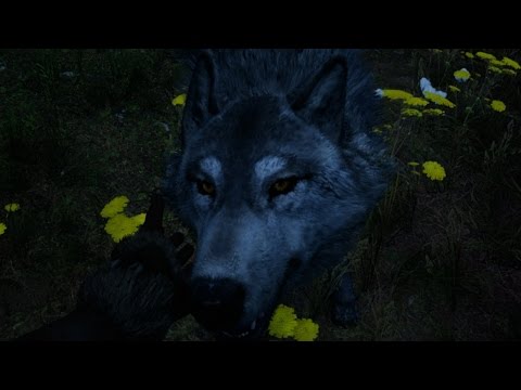 FARCRY PRIMAL | #04 Domando o Lobo Branco
