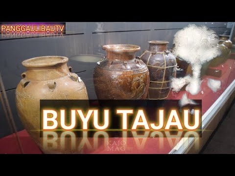 Buyu Tajau Ngeregau 2taun Enda Di Beri Makai,,,