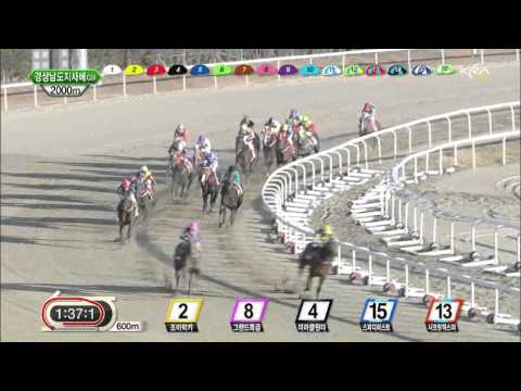 Gyeongnam Governor's Cup Secret Whisper