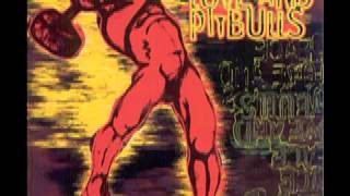 Peace Love And Pitbulls - 01 - Itch