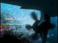 Finding Nemo VHS 2003