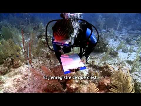 The World's Largest Coral Reef Survey, The Global Reef Expedition: Bahamas (French Subtitled)