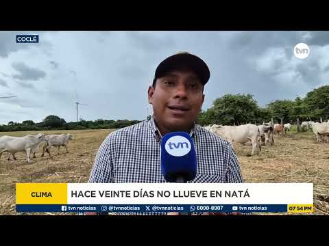 Productores de Coclé alertan que la falta de lluvias amenaza la ganadería y los cultivos