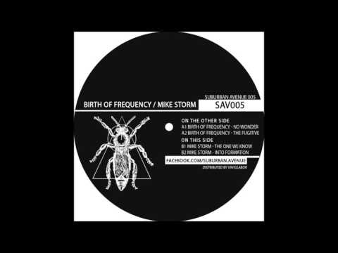 Mike Storm - Into Formation [SAV005]