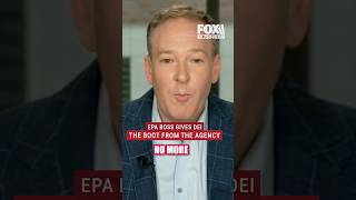 Download lagu Lee Zeldin 'There's no more environmental justice or DEI here at EPA' #shorts #dei #politics mp3