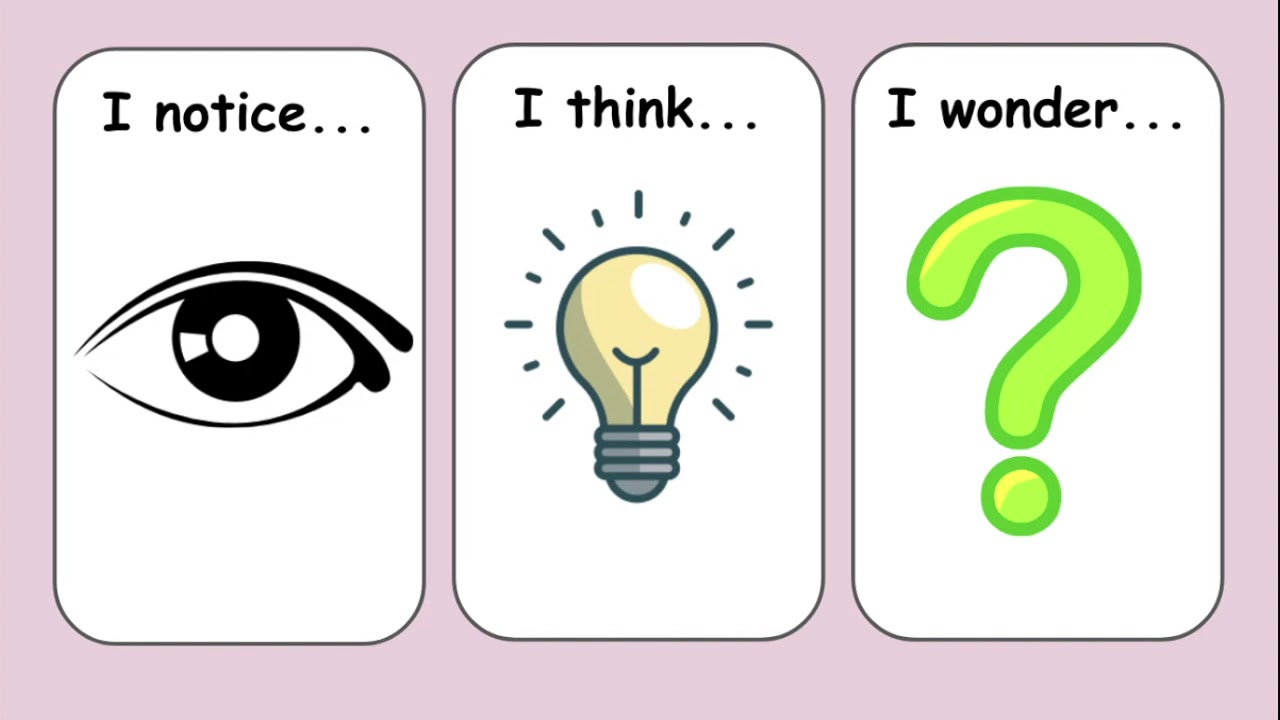 Making Observations and Asking Questions