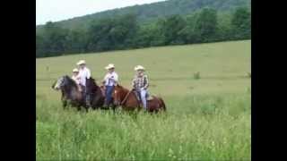 preview picture of video 'Meramec Farm Cabins and Gaited Breeds Trail Rides in Missouri.'