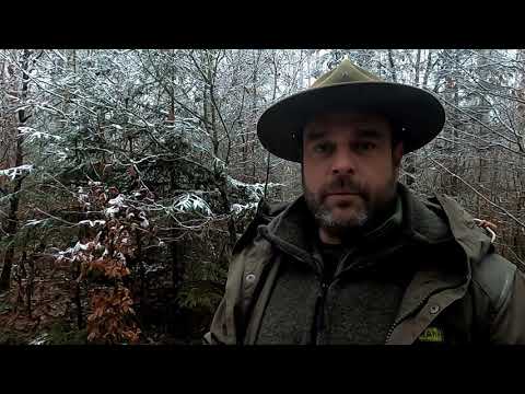 Naturpark Hirschwald: Tiere im Winter - Erklärvideo für Kinder - Naturpark Kita "Sie-Kids"