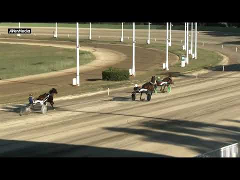 Prova di qualifica - cavalli di 3 anni - lunedì 3 giugno 2024