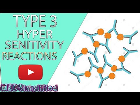 Type 3 Hypersensitivity Made Easy -  Immunology