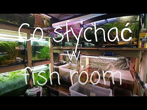 469.Co słychać w fish room 12.01.2026