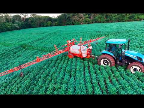 Lavoura de soja 2026, Sítio são Carlos Atalaia PR, família Bengozi.