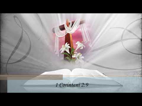 Puiu Chibici - Doamne cand esti langa mine