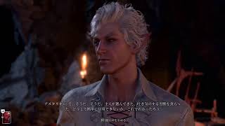 【バルダーズゲート3】やってく