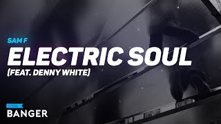 SAM F - Electric Soul (feat. Denny White)