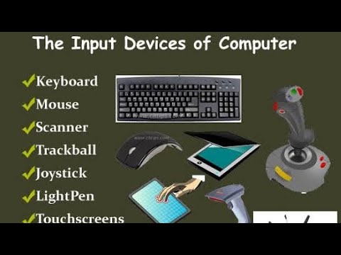 Input Devices of Computer || #computerknowledge #basiccomputer #computer #computerscience #typing