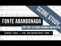Fonte Abandonada — for voice & studio chamber orchestra (Guinga, Arr. R. Buonaspina) — Score Study