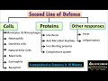 Second Line Of Defense In Immune System Components Defensive Cells Proteins And Inflammation