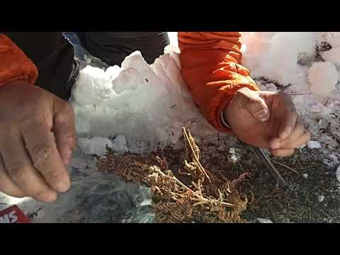 prácticas fuego en la nieve