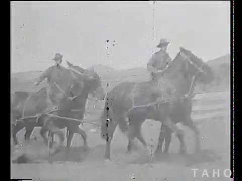 Cover image for Film - Tasmanian Expeditionary Force - Church Parade - At Brighton Army Camp.