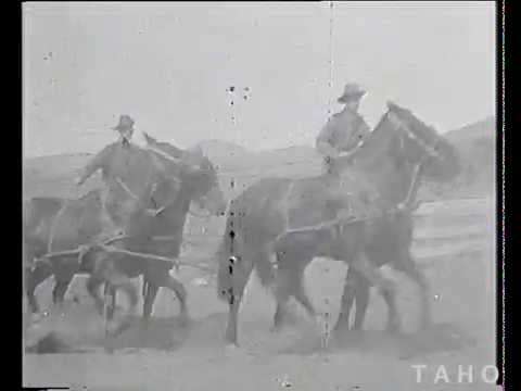 Brighton Army Camp