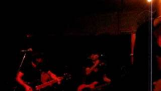 Social Code - Cats And Dogs (Live)