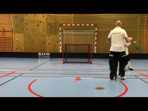 Floorball goalietraining basic seven positions