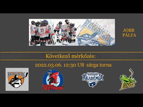 Veszprém U8 sárga torna - jobb oldali pálya