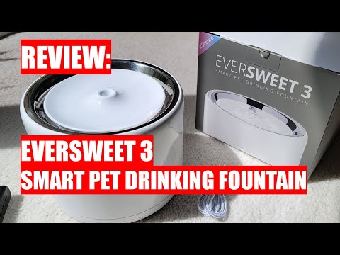 REVIEW: PETKIT EverSweet 3 - Smart Pet Drinking Fountain